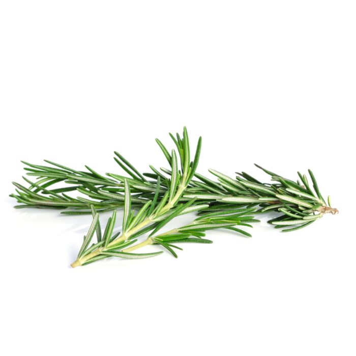 ROSEMARY 3500X3500